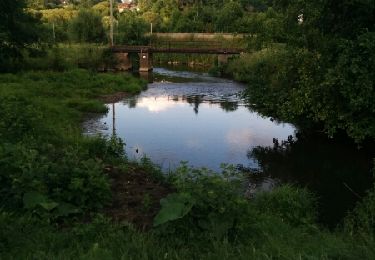 Randonnée Marche Charleroi - Marcinelle - Jamioulx - Montigny-le-Tilleul - Photo