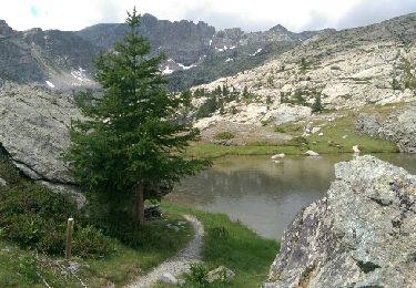 Trail Walking Tende - Casterino - Fontanalba - Photo