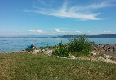 Percorso Altra attività Estavayer - lac de Neuchâtel en Paddle - Photo