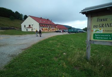 Tour Wandern Jungholz - Ste Anne- Ferme du Ballon'13/7/2017) - Photo