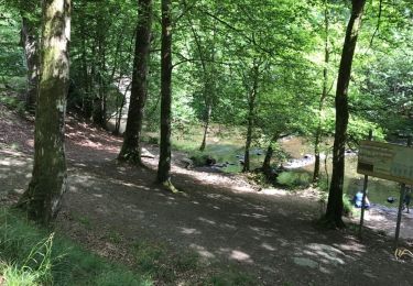 Trail Walking Wellin - Daverdisse Porchesse Lesse Our 26,5 km - Photo