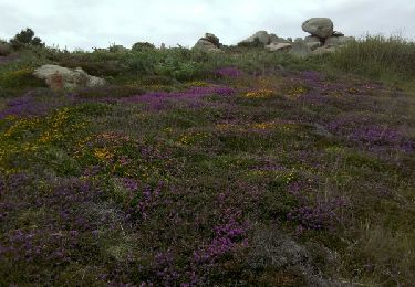 Tour Wandern Trégastel - ploumanach - Photo