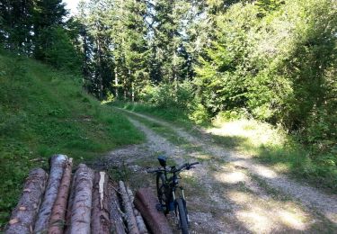Trail Mountain bike Saint-Nizier-du-Moucherotte - St Nizier - Lans en Vercors A&R en boucle - Photo