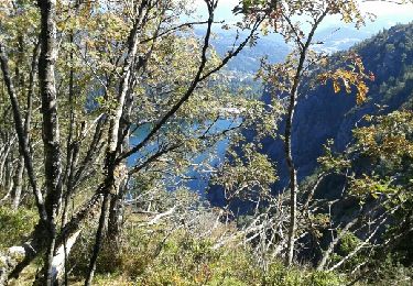 Randonnée Marche Le Valtin - tour du lac blanc depuis  le gazon du faing - Photo