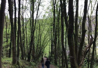 Trail Walking Vresse-sur-Semois - Toertje Bohan - Photo