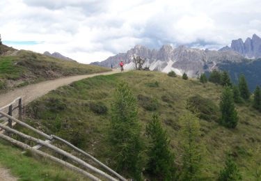 Tour Wandern Brixen - Dolomiten Panoramaweg - Photo