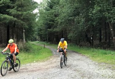 Excursión Bici de montaña Jalhay - 20170726 Pivert à Solwaster  - Photo