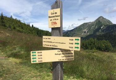 Trail Walking Abondance - Bassachaux - Aup Couti - Photo