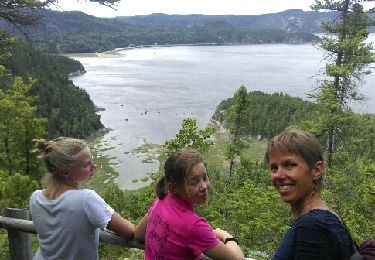 Tour Wandern Petit-Saguenay - Sentier de la pinède petit Saguenay - Photo