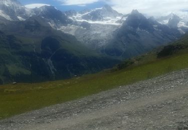 Tour Wandern Anniviers - Grimentz téléphérique Sorebois descente vers Grimentz - Photo