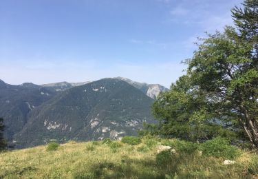 Tour Wandern Méolans-Revel - Rando Tête de Louis XVI - Photo