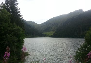 Tour Wandern Cevins - Lac de St guerin - Photo