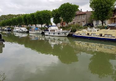 Tocht Stappen Moissac - le canal a Moissac  - Photo