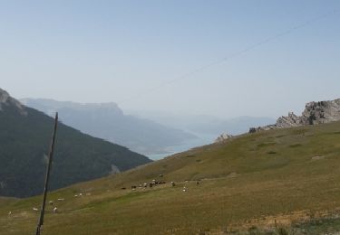 Excursión Senderismo Risoul - Risoul- Homme de pierre  - Photo