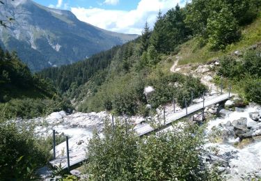 Trail Walking Les Contamines-Montjoie - Lac & Combe d'Armancette - Photo