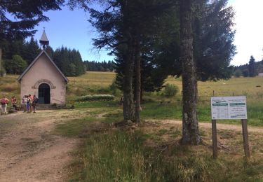 Tocht Andere activiteiten Noirétable - circuit notre dame Hermitage  - Photo