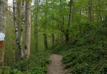 Trail Walking Houyet - MESNIL- St-BLAISE (Sicou) - Photo