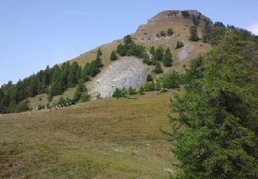 Tocht Stappen Seyne - tour rt sommet duTourtourel  - Photo