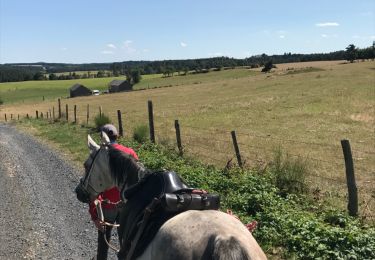 Randonnée Cheval Prinsuéjols-Malbouzon - Aubrac 2017  - jour 6 (suite et fin) - Photo