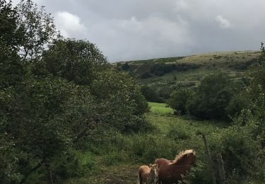 Trail Equestrian Saint-Chély-d'Aubrac - Aubrac 2017 - jour 4 - Photo