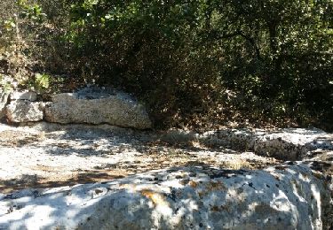 Tour Wandern La Garde-Adhémar - la garde adhemar les lapidaires - Photo