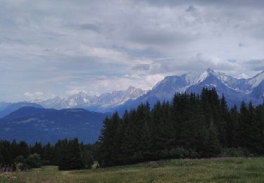 Trail Walking Saint-Gervais-les-Bains - Sommet d'Arbois - Photo