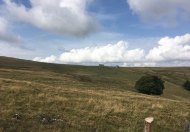 Excursión Otra actividad Saint-Chély-d'Aubrac - St Chely d'Aubrac - Les Plagnes - Photo