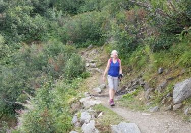 Trail Other activity Chamonix-Mont-Blanc - la jonction  - Photo