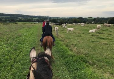Tocht Paard Florenville - Transsemoisienne 2017 tracé 2eme jour - Photo