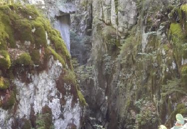 Trail Walking Samoëns - Samoëns vers les gorges de Tines - Photo