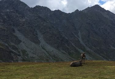 Tocht Stappen Molines-en-Queyras - randonnée près du col vieux et du col Agnel - Photo