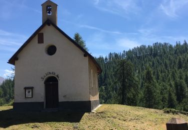 Randonnée Marche Molines-en-Queyras - mont Bûcher - Photo