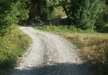 Trail Walking Saint-Michel-de-Chabrillanoux - Saint Michel de Chabrillanoux 1 - Photo