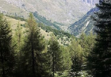 Trail Walking Réallon - col de la gardette - Photo