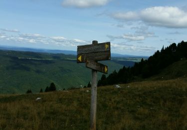 Excursión Senderismo Lélex - Le l'ex 20170820 - Photo