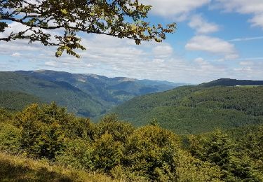 Randonnée Marche Metzeral - Cascades du Pfahlrunz - Photo