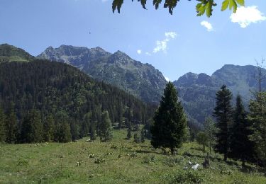 Randonnée Marche Saint-Mury-Monteymond - col du molard - Photo