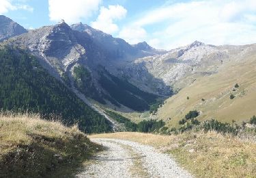 Trail Walking Freissinières - col de val-haute - Photo