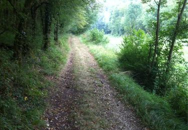 Trail Walking Cœur de Causse - Labastide Murat vers Vers - Photo