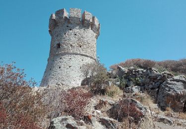 Tocht Stappen Serra-di-Ferro - cupabia porto polo - Photo