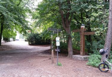 Tour Fahrrad Ronse - Renaix - Kluisbos - aérodrome -Renaix  - Photo