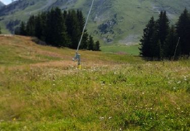 Tour Wandern Manigod - le tour de la tête de cabeau - Photo