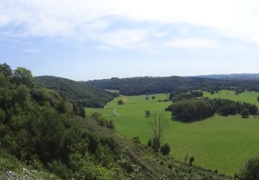 Trail Walking Rochefort - De Rochefort au belvédère de Han-sur-Lesse - Photo