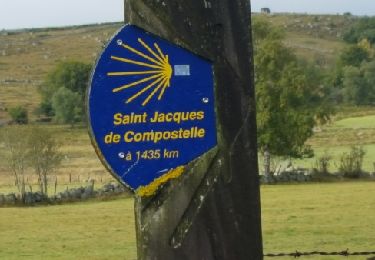 Tour Wandern Peyre en Aubrac - les 4 chemins - Nasbinals - Photo