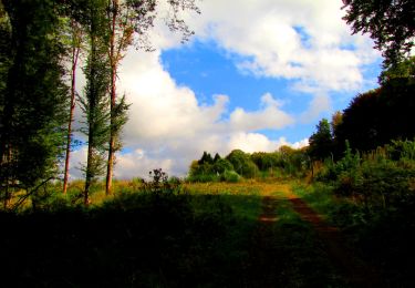 Trail Walking Longpont - en forêt de Retz_57_Longpont_Saint-Pierre Aigle_AR - Photo