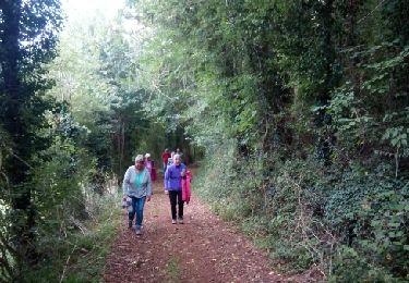 Trail Walking Aigondigné - AIGONNAY. 2017 - Photo