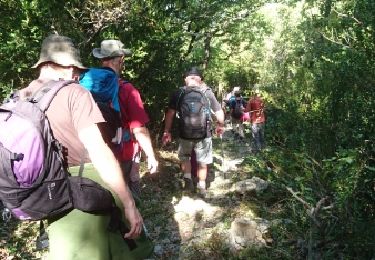 Trail Walking Crestet - 170922 EnCours - Photo