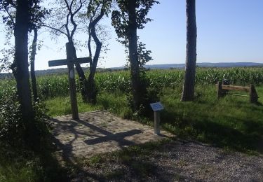 Trail Walking Rochefort - De Rochefort à Han-sur-Lesse - Photo