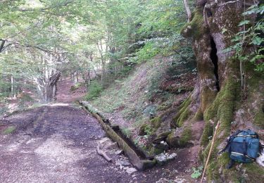 Trail Walking Chichilianne - Le Platary - Photo