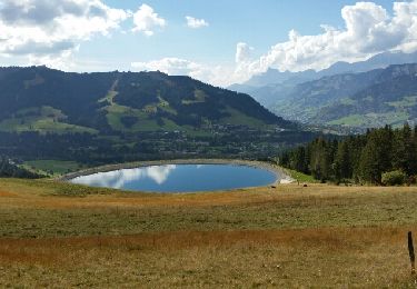 Excursión Senderismo Megève - circuit col du Christ -Le Montjoux-Mt d'Arbois Hte Savoie 2017-09-27 - Photo